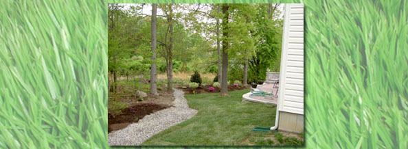 custom landscaping, sod, shrubbery